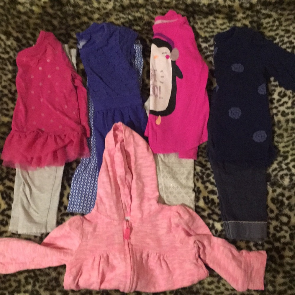 Toddler Girl Bundle 2t
